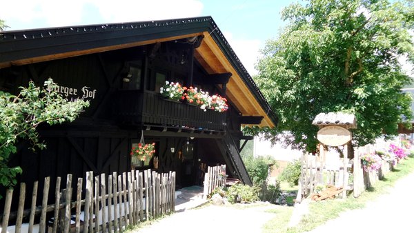 Photo exteriors in summer Burgerhof