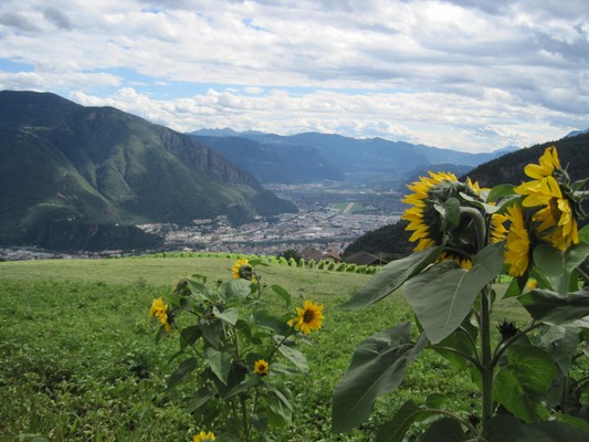 Aussicht Jenesien