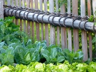 Foto vom Garten Jenesien