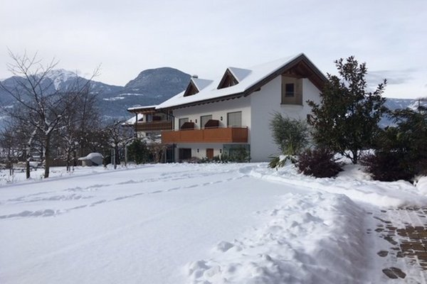 Foto esterno in inverno Neuhausmühle