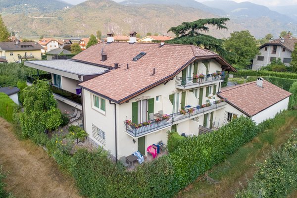 Foto esterno in estate Pension Sunnhofer
