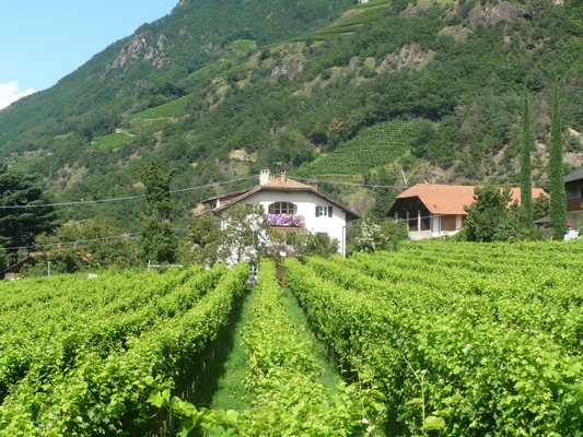 Position Farmhouse apartments Steinackerhof Terlano / Terlan (Strada del vino north / Weinstraße north)