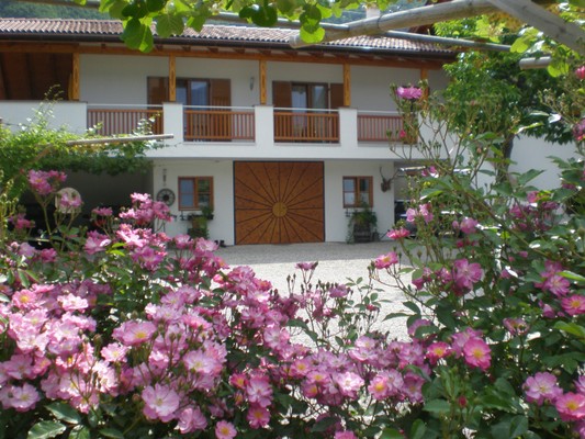 Foto esterno B&B + Appartamenti in agriturismo Jägerheim