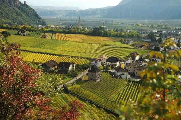 Panoramic view Terlano / Terlan (Strada del vino north / Weinstraße north)