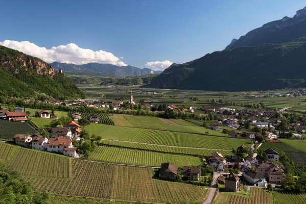 Bildergalerie Sommer