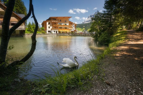 Gallery Badia - Pedraces estate