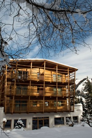 Photo exteriors in winter Melodia del Bosco