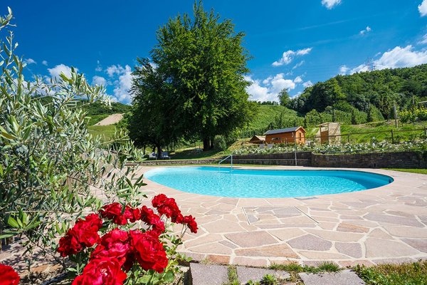Photo of the outdoor swimming pool