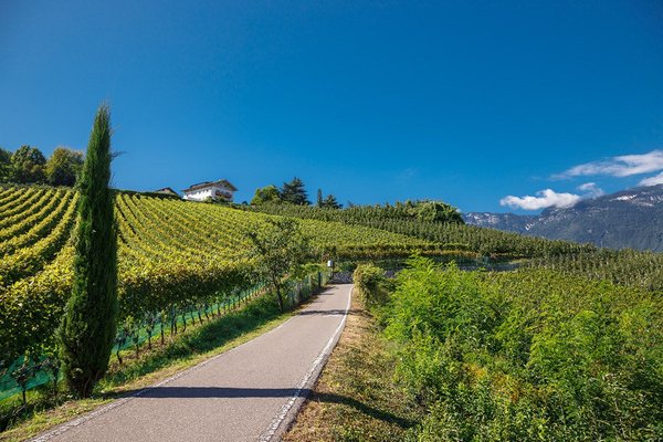 Position Hotel Sigmundskron Frangarto / Frangart (Strada del vino north / Weinstraße north)