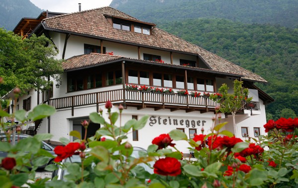 Foto Außenansicht Hotel Steinegger