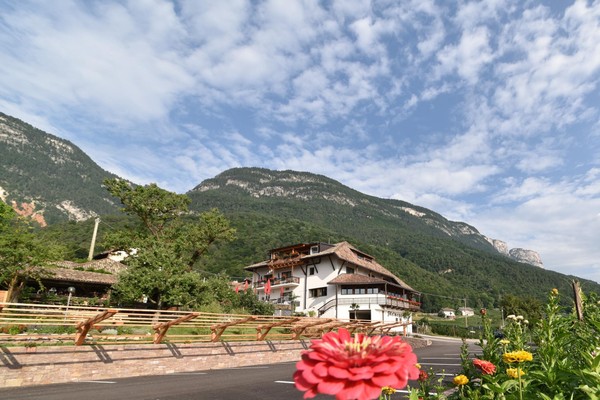 Foto Außenansicht Hotel Steinegger