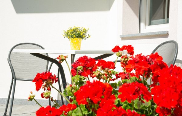 Foto della terrazza