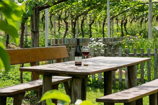 Photo of the garden Frangarto / Frangart (Strada del vino north / Weinstraße north)