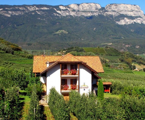 Foto esterno Appartamenti in agriturismo Geighof