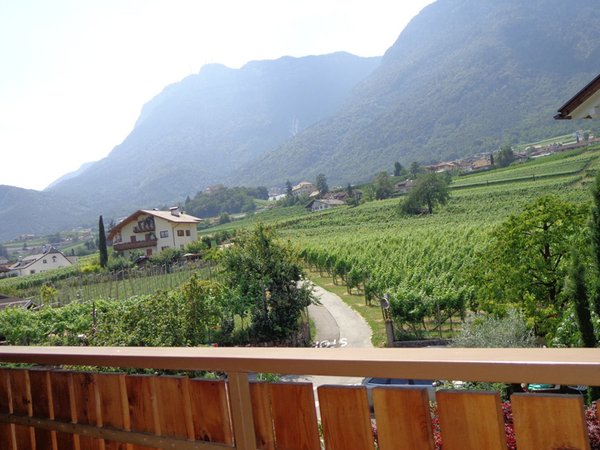 Vista dalla struttura