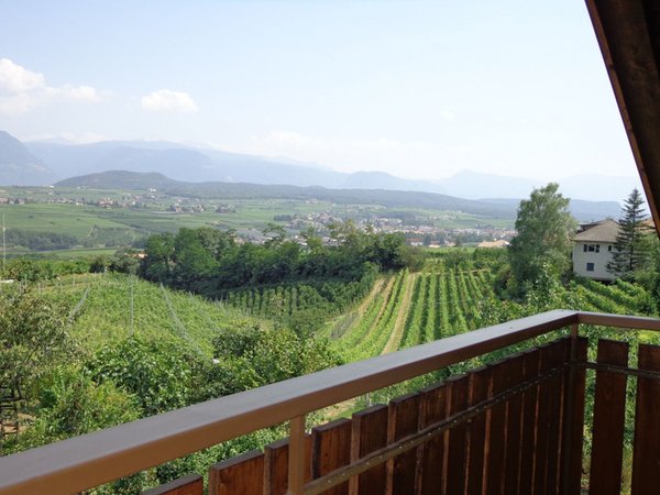 Vista dalla struttura