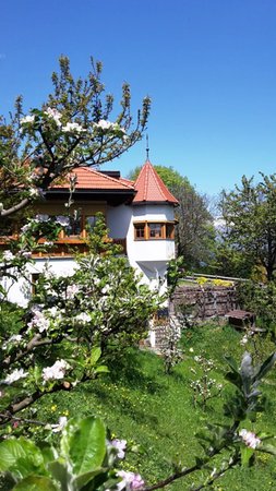 Foto esterno in estate Tinnerhof