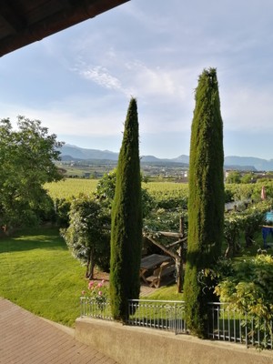 Panorama San Paolo (Strada del Vino Nord)