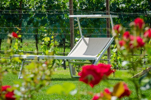 Foto vom Garten Unterrain (Weinstraße Nord)