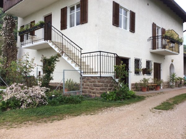 Photo exteriors in summer Haus Haas