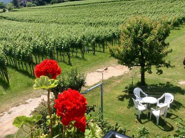 Photo of the garden San Paolo / St. Pauls (Strada del vino north / Weinstraße north)