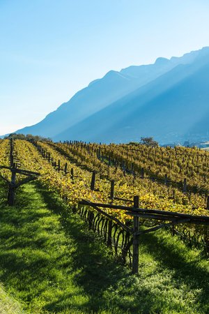 Appiano caratteristico scatto fotografico della zona