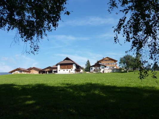 La posizione Gasthof (Albergo) St. Ulrich Salonetto (Meltina)