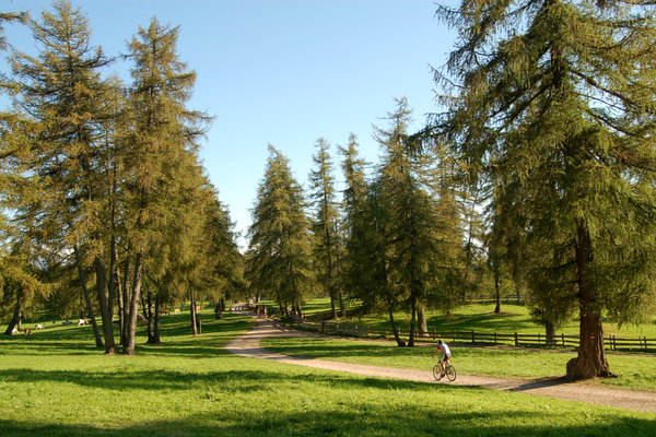 Bildergalerie Sommer