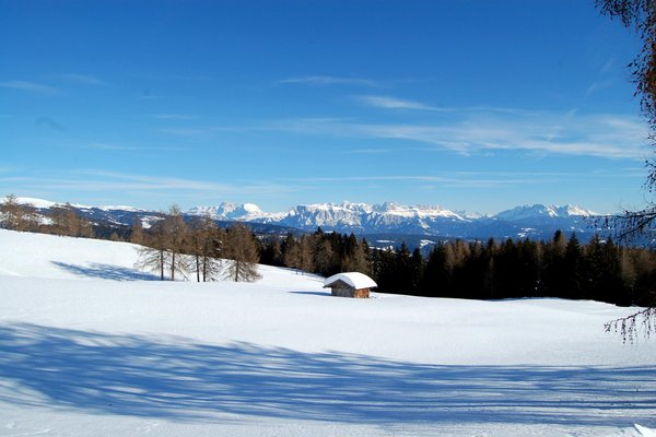 Bildergalerie Winter