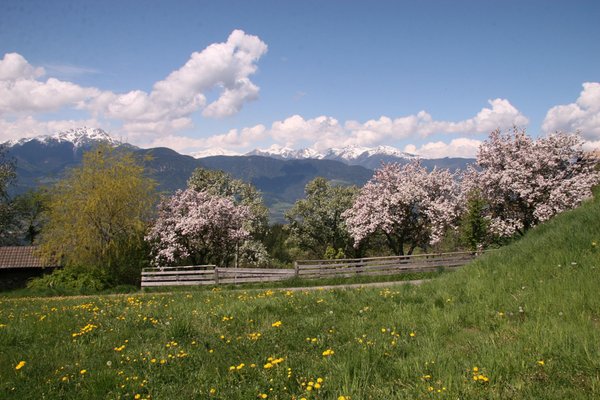 Bildergalerie Sommer