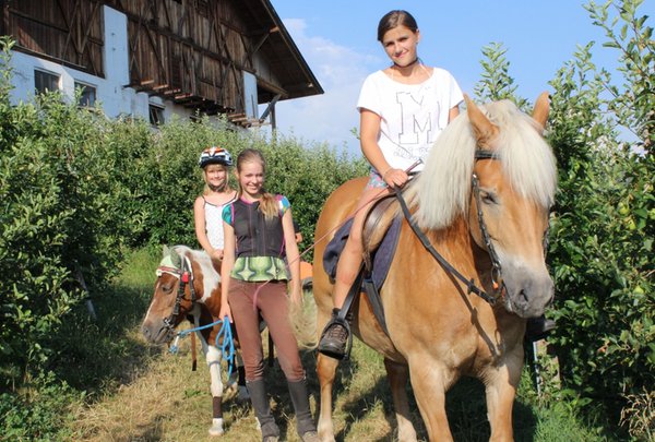 Bildergalerie Bozen und Umgebung Sommer