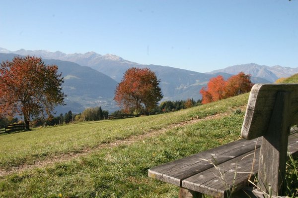 Bildergalerie Bozen und Umgebung Sommer