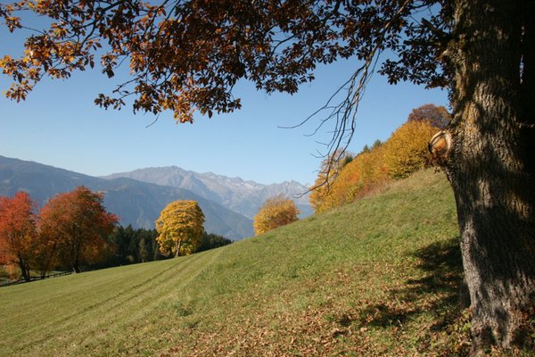 Bildergalerie Bozen und Umgebung Sommer