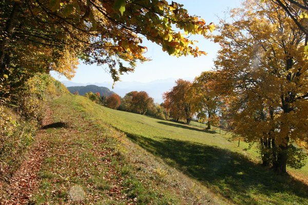 Bildergalerie Bozen und Umgebung Sommer