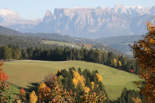 Bildergalerie Bozen und Umgebung Sommer