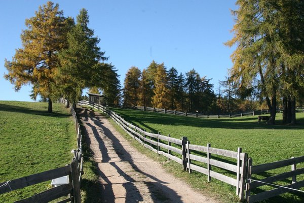 Bildergalerie Bozen und Umgebung Sommer