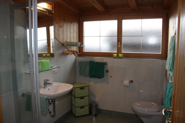 Foto del bagno Appartamenti in agriturismo Neu-Schötzerhof