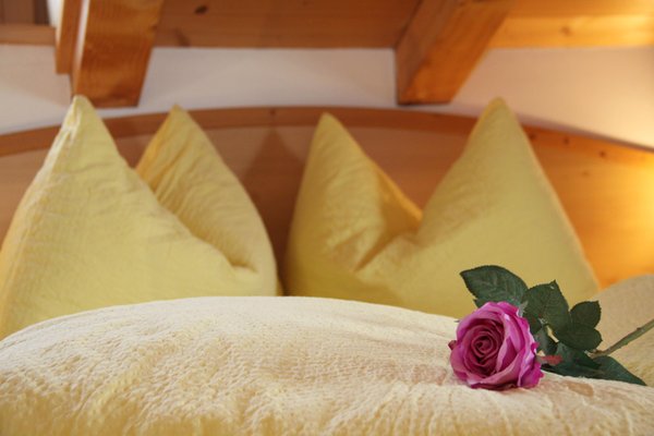 Foto della camera Appartamenti in agriturismo Neu-Schötzerhof