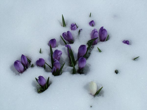 Bildergalerie Winter