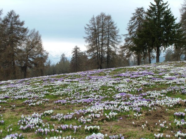 Bildergalerie Sommer