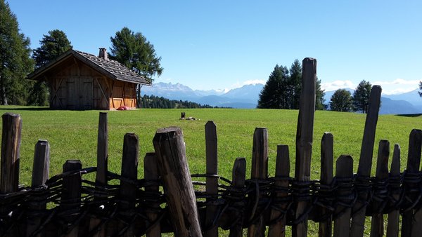 Bildergalerie Sommer