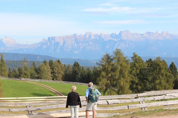 Bildergalerie Sommer