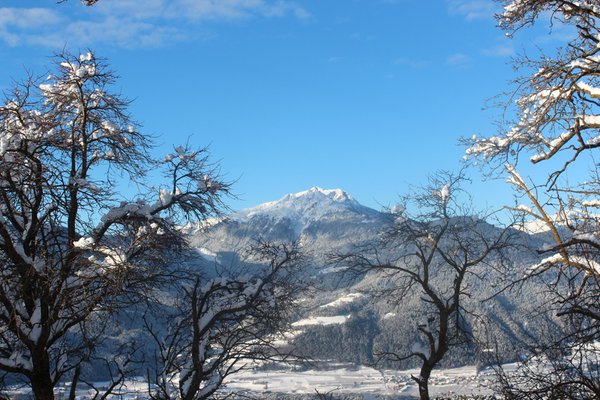 Bildergalerie Winter