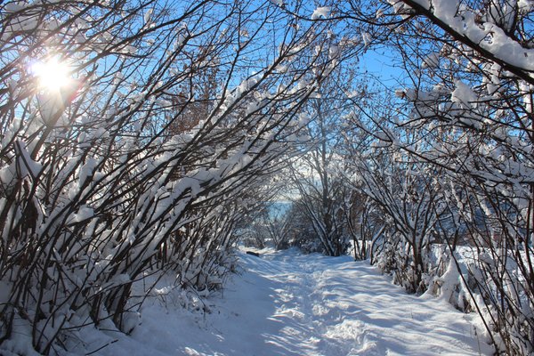 Bildergalerie Winter