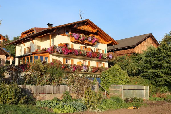 Sommer Präsentationsbild Ferienwohnungen auf dem Bauernhof Kastnerhof