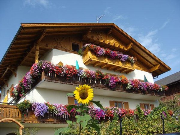 Foto Außenansicht im Sommer Kastnerhof