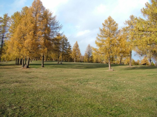 Bildergalerie Sommer