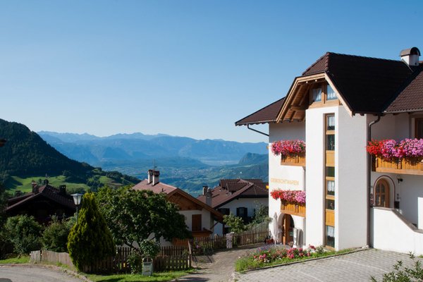 Foto Außenansicht im Sommer Tratter