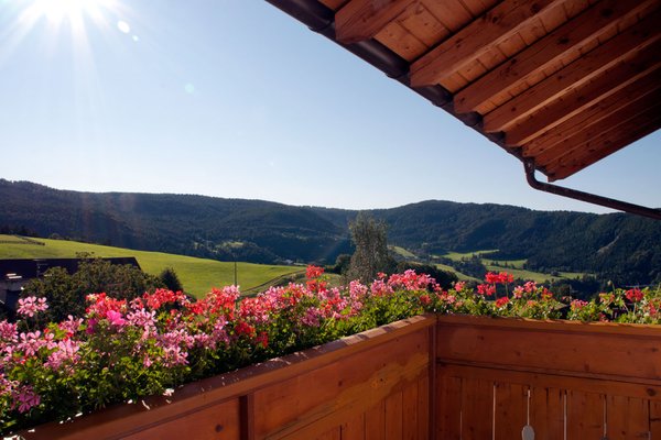 Foto vom Balkon Tratter