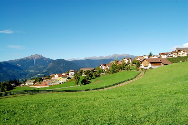 Bildergalerie Sommer